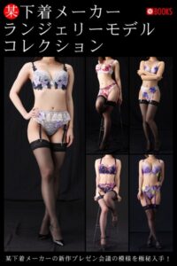 【k740aplst07660】某下着メーカー ランジェリーモデルコレクション