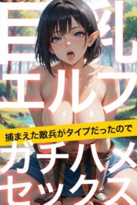 【s665aunik00030】巨乳エルフ捕まえた敵兵がタイプだったのでガチハメセックス〜AI2次元美女〜