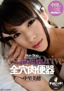 【s744awrxe00099】全穴肉便器 中里美穂