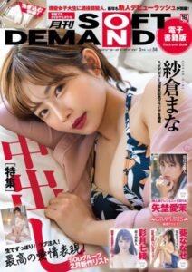 【s078astod00942】月刊ソフト・オン・デマンド3月号Vol.54【電子書籍版】