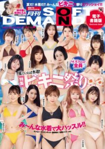 【s078astod00918】月刊ソフト・オン・デマンド9月号Vol.48【電子書籍版】