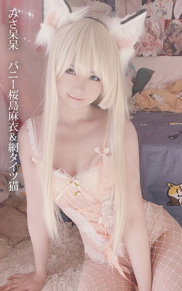 【s880aecwh00104】みさ呆呆 バニー桜島麻衣＆網タイツ猫