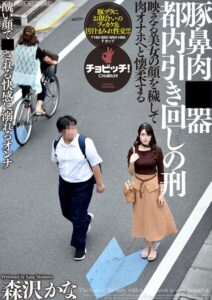 【s744awrxe00361】豚鼻肉便器 都内引き回しの刑 森沢かな