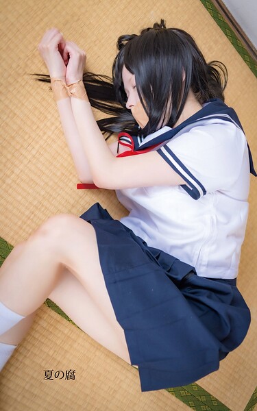 【s880aecwh00194】夏の腐