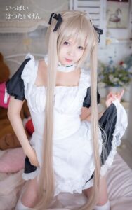 【s880aecwh00223】いっぱい はつたいけん